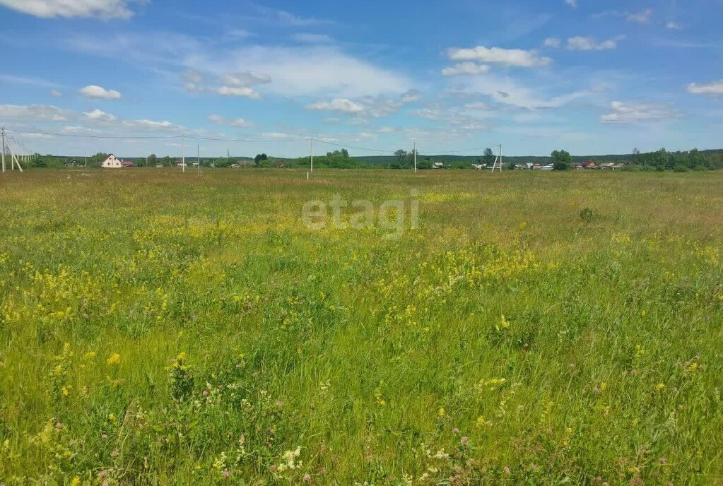 земля р-н Тамбовский с Лысые Горы р-н мкр Беломестный фото 1