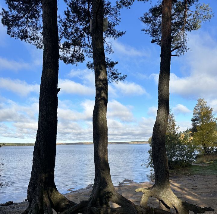 земля р-н Всеволожский Токсовское городское поселение, Токсово городской поселок, Девяткино, ул. Пляжная, 5/2 фото 25