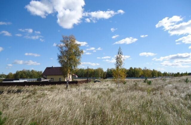 Луговское сельское поселение, Живописная ул, Копейск фото