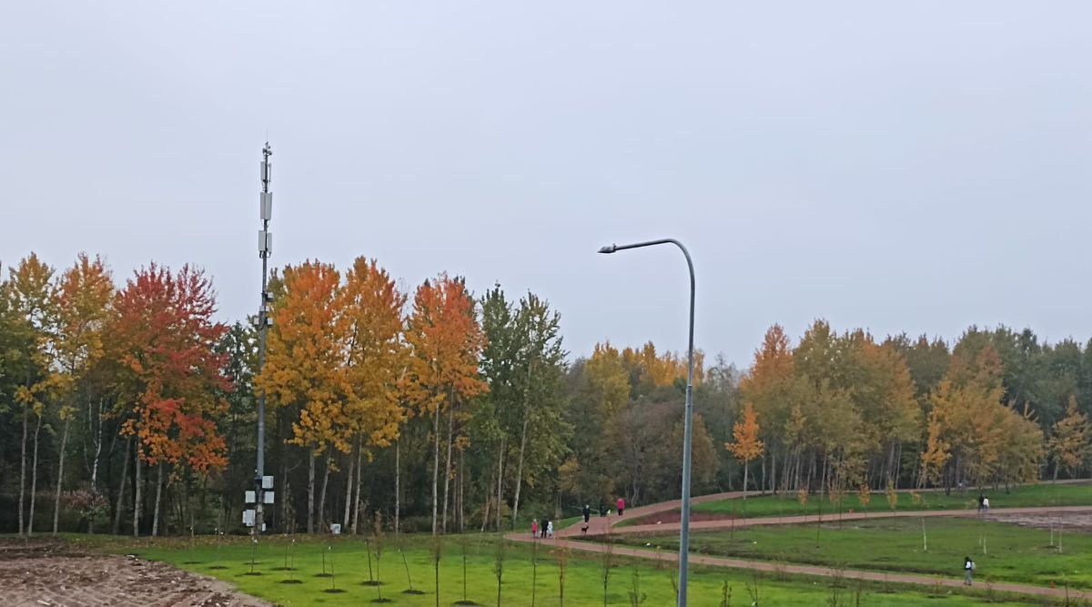 квартира г Санкт-Петербург метро Комендантский Проспект аллея Арцеуловская 17 фото 15