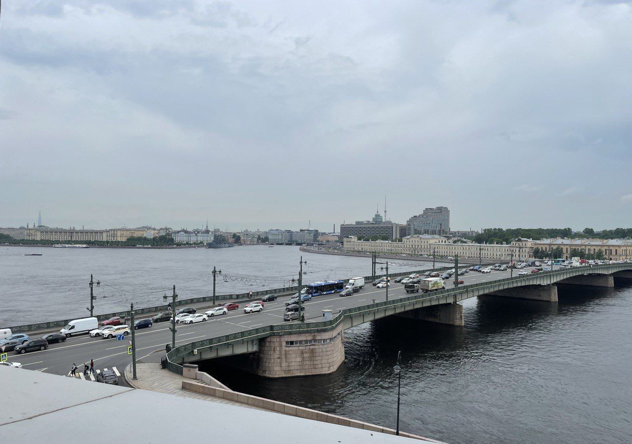 квартира г Санкт-Петербург метро Чернышевская наб Воскресенская 32 фото 19