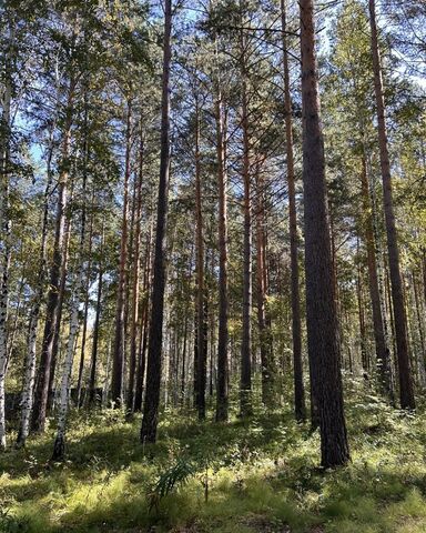 земля Ушаковское муниципальное образование, Иркутск фото