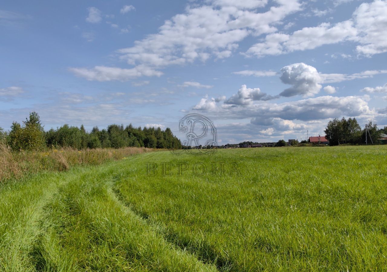 земля направление Горьковское (восток) ш Горьковское 9757 км, Богородский г. о, Ногинск фото 1