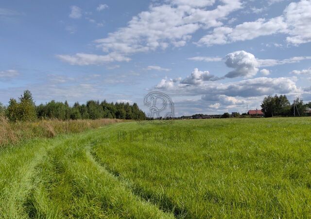 направление Горьковское (восток) ш Горьковское 9757 км, Богородский г. о, Ногинск фото