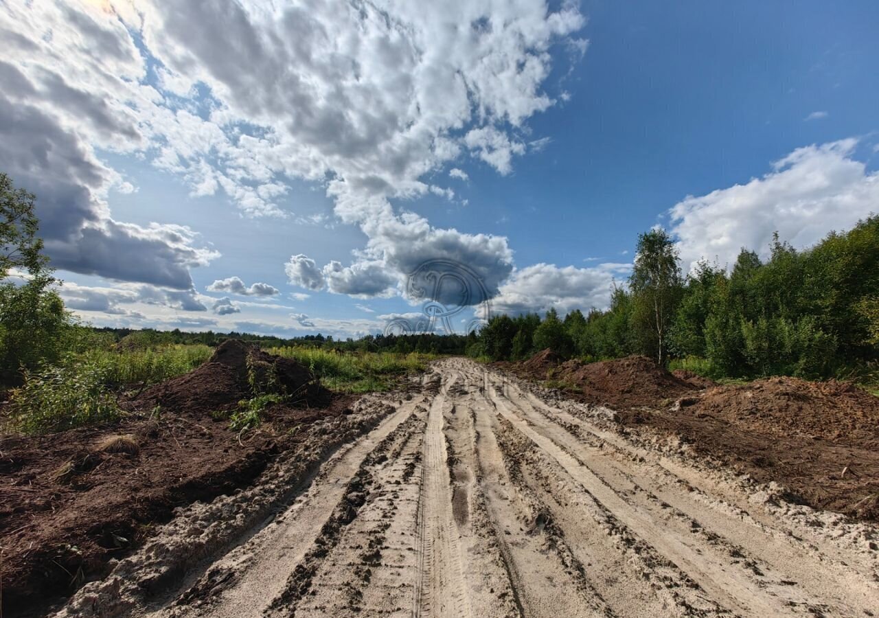 земля направление Горьковское (восток) ш Горьковское 9757 км, Богородский г. о, Ногинск фото 6