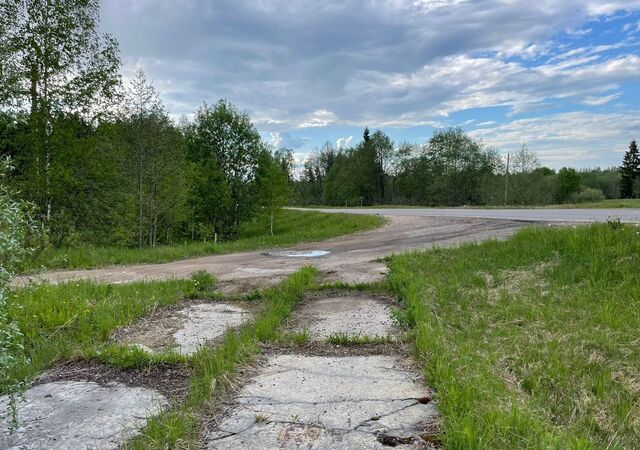 9829 км, Уваровка, Минское шоссе, д. Антоново фото