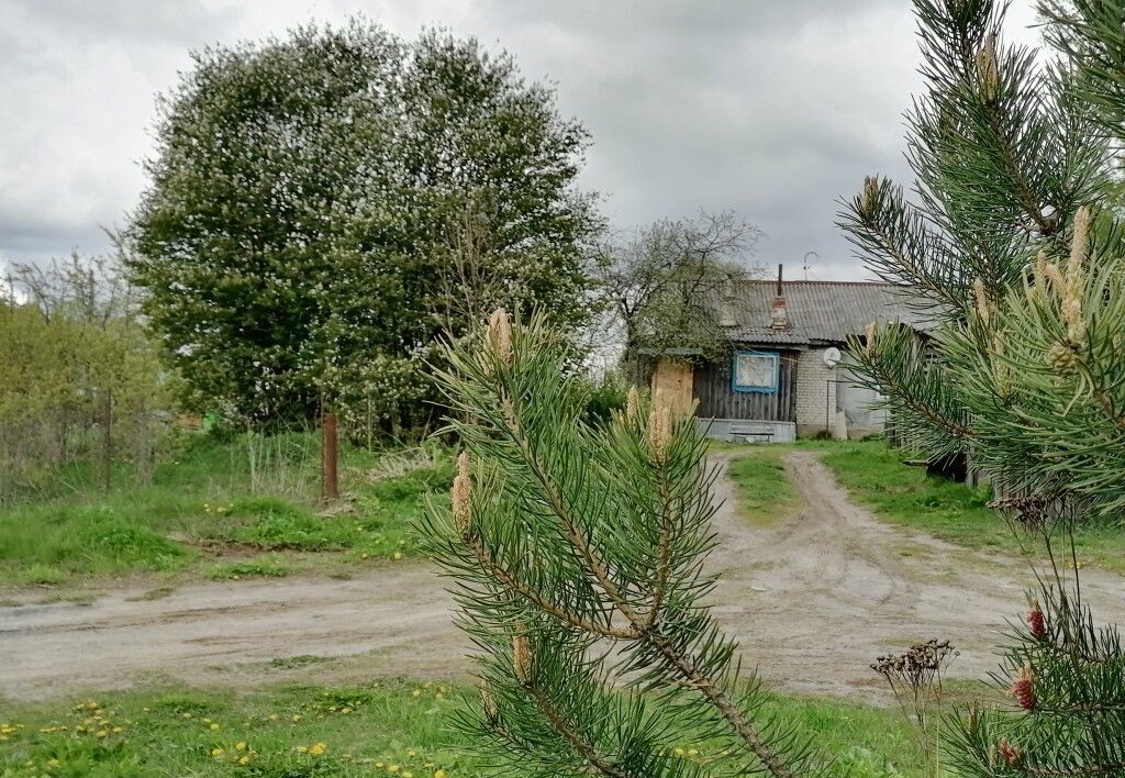 дом р-н Судогодский д Овсянниково муниципальное образование Головинское, Центральная ул, Головино фото 6