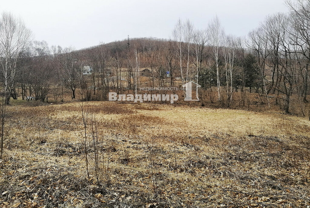 земля р-н Партизанский с Владимиро-Александровское Партизанский муниципальный округ фото 1