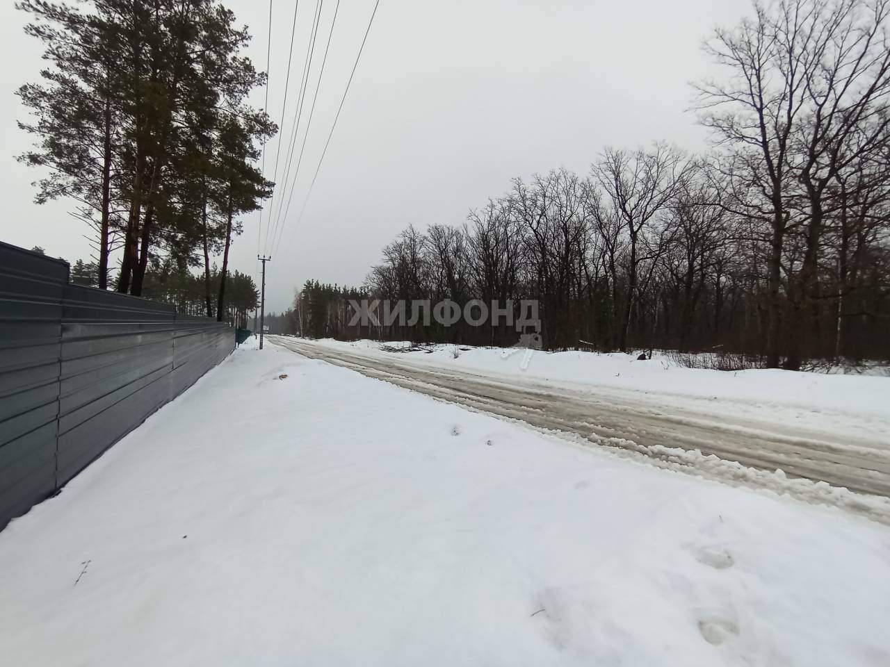 дом р-н Рамонский д Медовка ул Бирюзовая фото 2