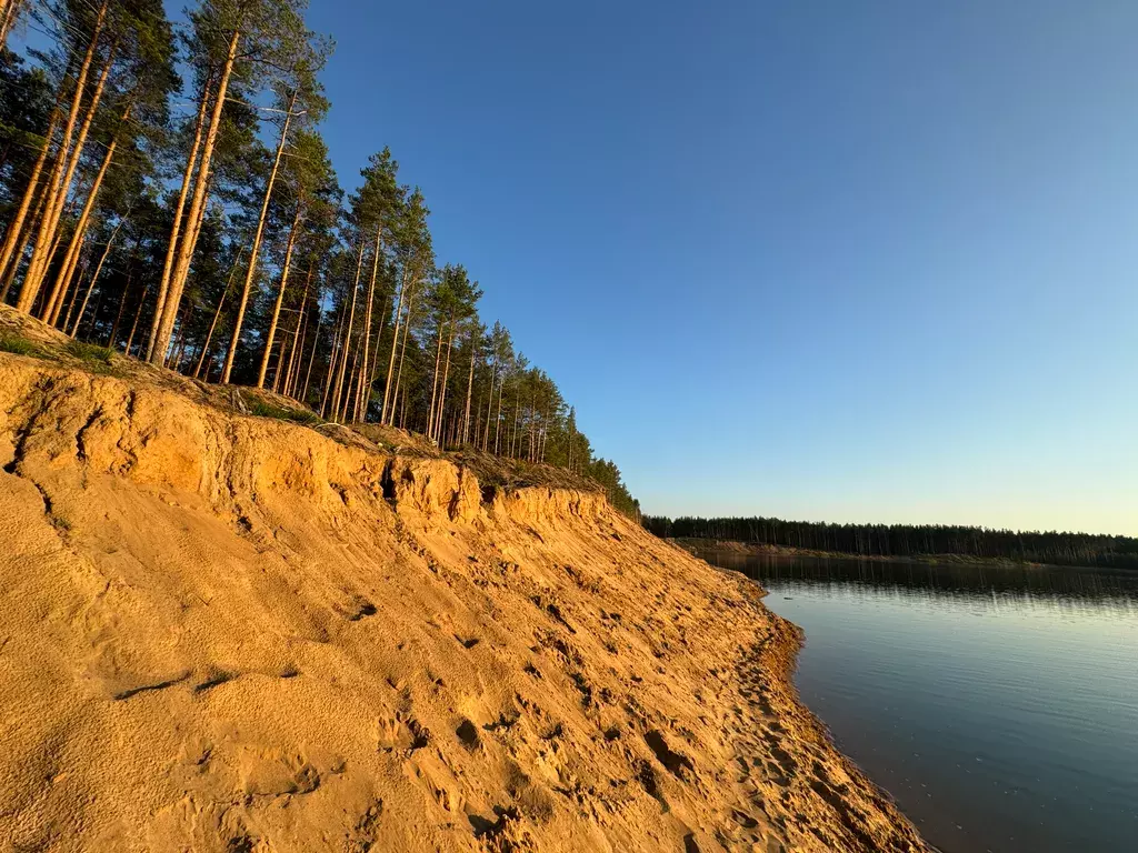 дом р-н Калининский д Савватьево СНТ Бабурки территория, 26 фото 42