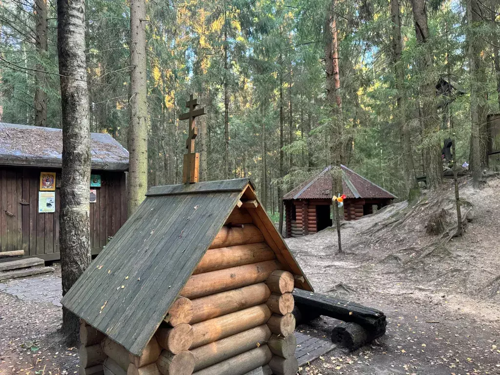 дом р-н Калининский д Савватьево СНТ Бабурки территория, 26 фото 43