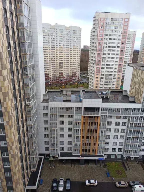 квартира г Москва Пыхтино, Лётчика Ульянина улица, 7, Московская область фото 12