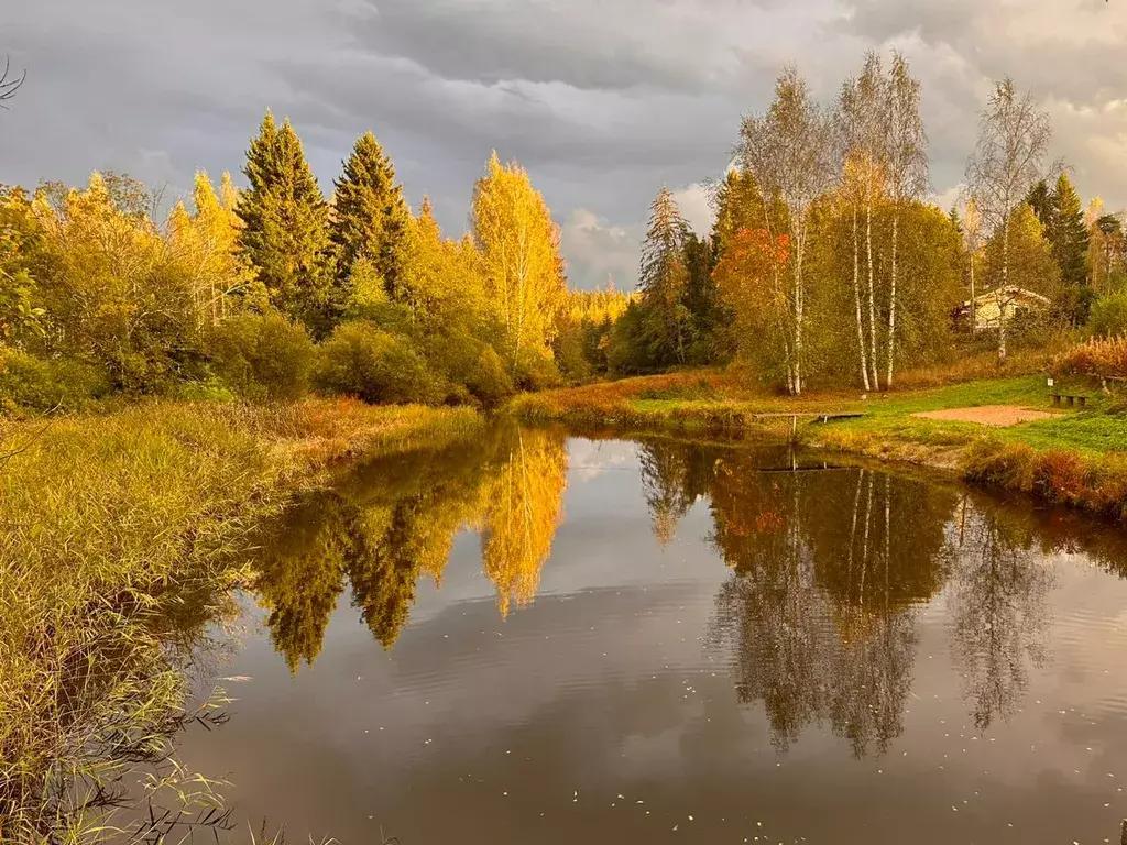 дом р-н Выборгский г Выборг улица улица, 1 фото 15