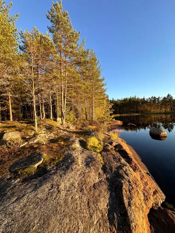 дом р-н Выборгский г Выборг улица улица, 1 фото 23