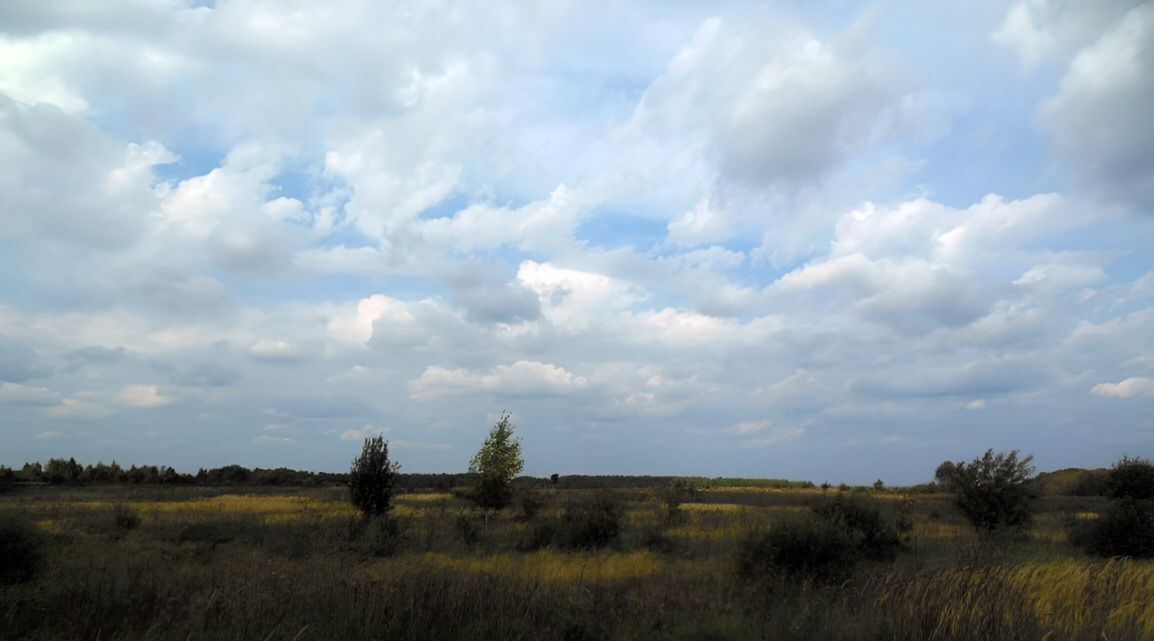 земля р-н Гагаринский с Серго-Ивановское фото 3