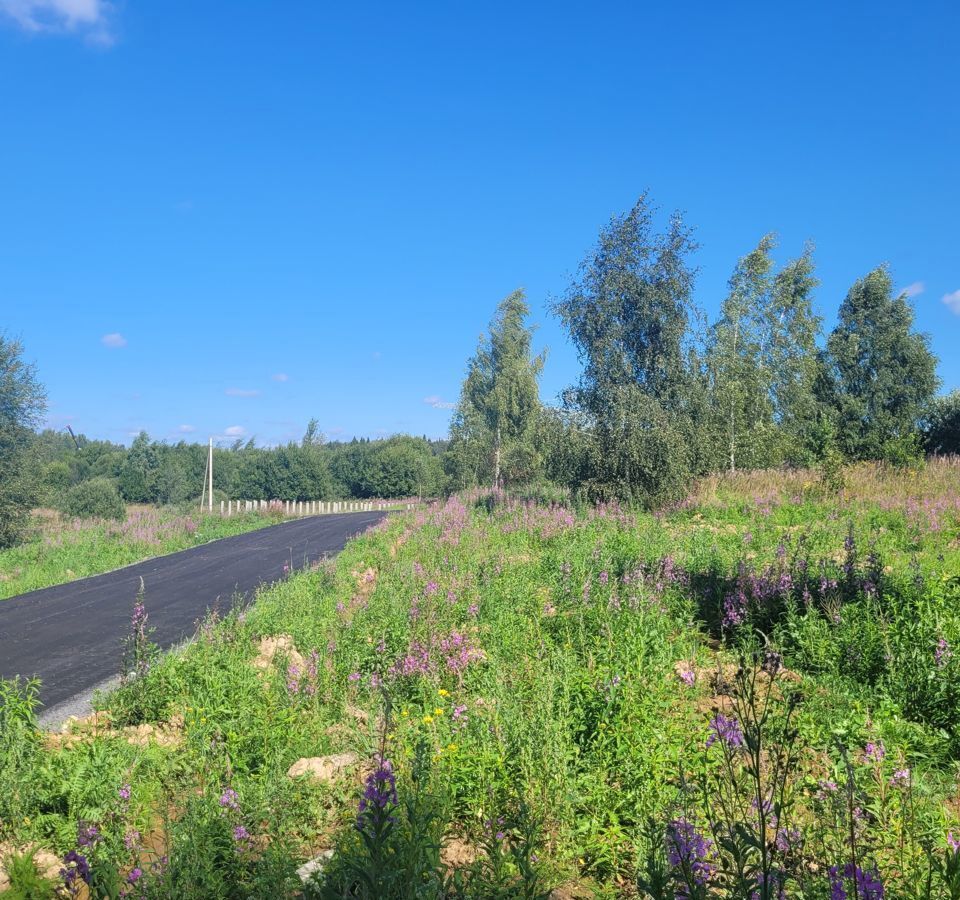 земля городской округ Дмитровский д Подосинки 9757 км, Деденево, Дмитровское шоссе фото 6