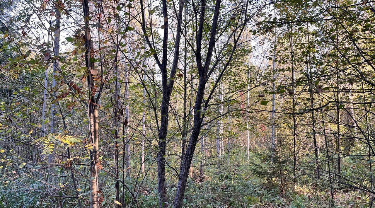 земля городской округ Одинцовский д Сивково тер ДНТ Кобальт Крёкшино, 91 фото 11