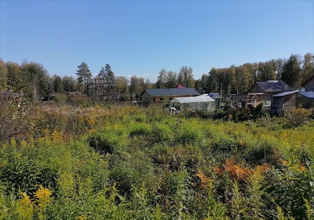 снт Вера Барышевский сельсовет, Новосибирск фото