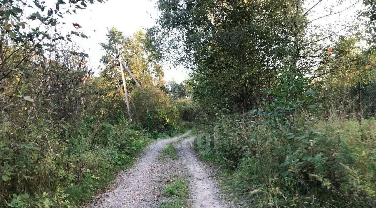 земля р-н Киришский д Луг Будогощское городское поселение фото 11