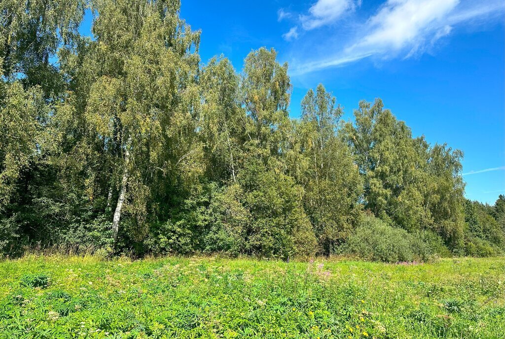 земля городской округ Клин д Богаиха фото 24