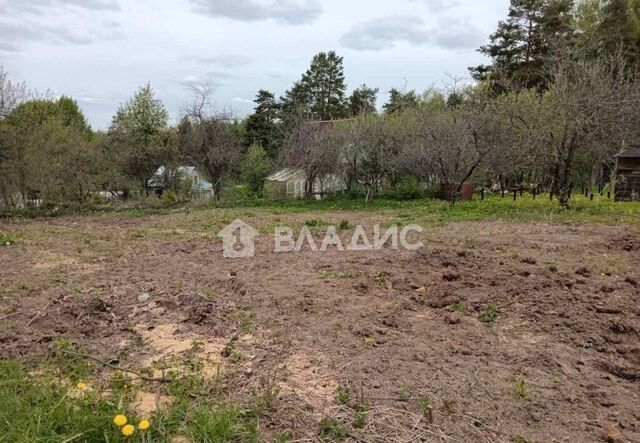 снт Политехник муниципальное образование Новоалександровское, Владимир фото