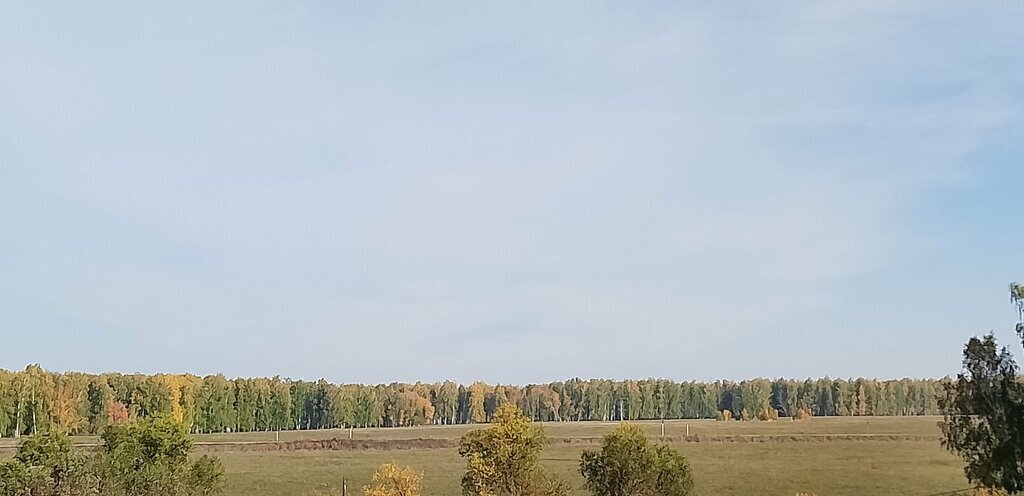 земля р-н Алапаевский п Каменский Каменский городской округ фото 7