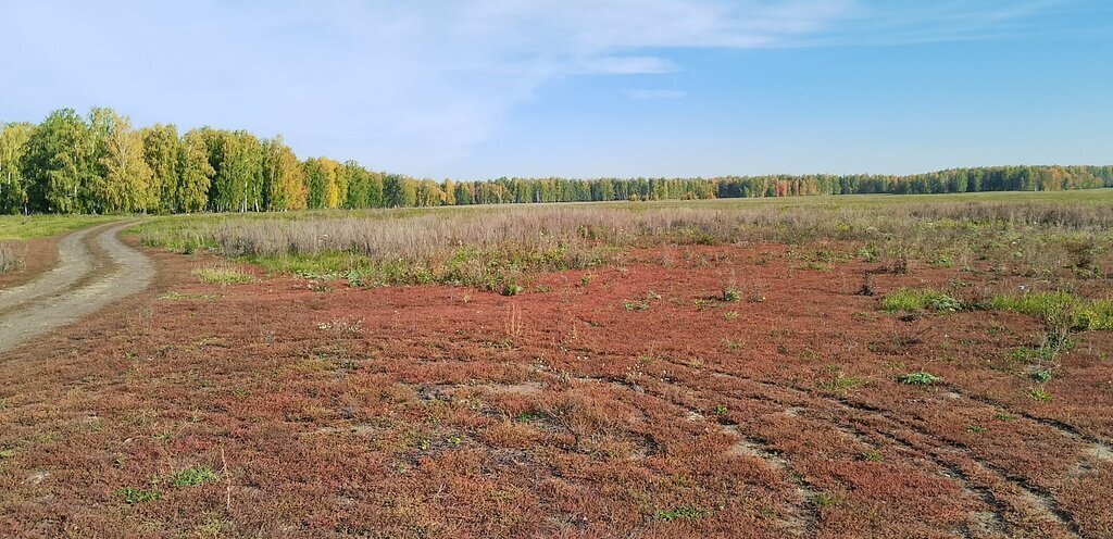 земля р-н Алапаевский п Каменский Каменский городской округ фото 6