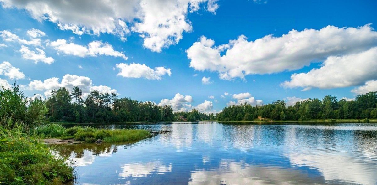 дом р-н Всеволожский Токсовское городское поселение, Токсово городской поселок, Девяткино, ул. Холмистая, 85 фото 7