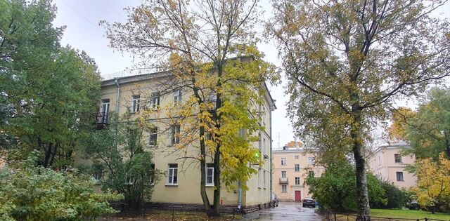 Черная Речка пер Шишмарёвский 4 фото