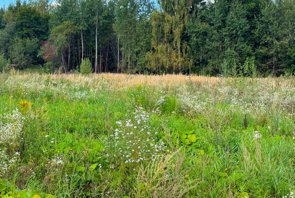 земля городской округ Дмитровский коттеджный посёлок Медведки, Лобня фото 5