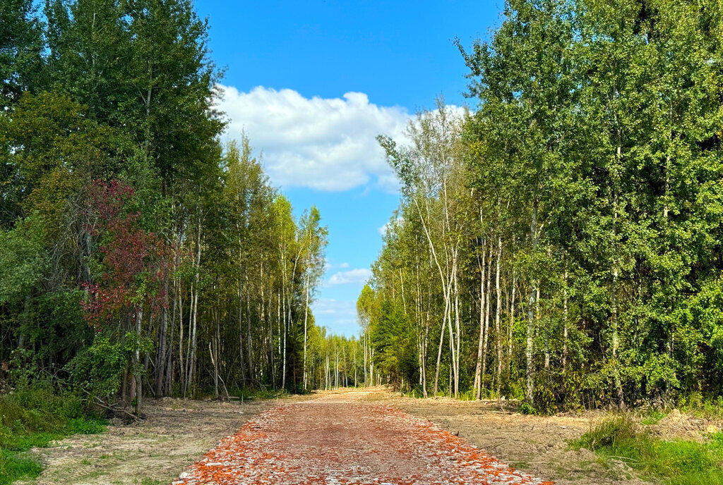 земля городской округ Дмитровский коттеджный посёлок Медведки, Лобня фото 12