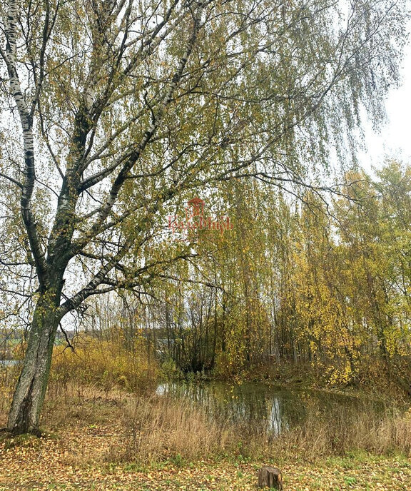 земля городской округ Сергиево-Посадский д Березняки фото 5