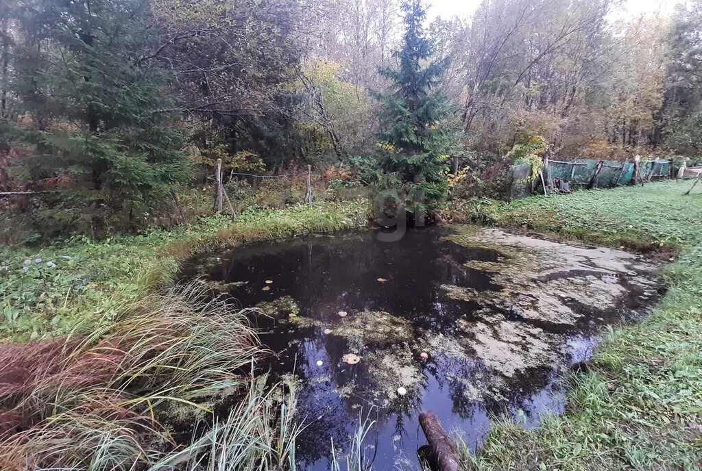 дом р-н Киришский д Кукуй Будогощское городское поселение фото 27