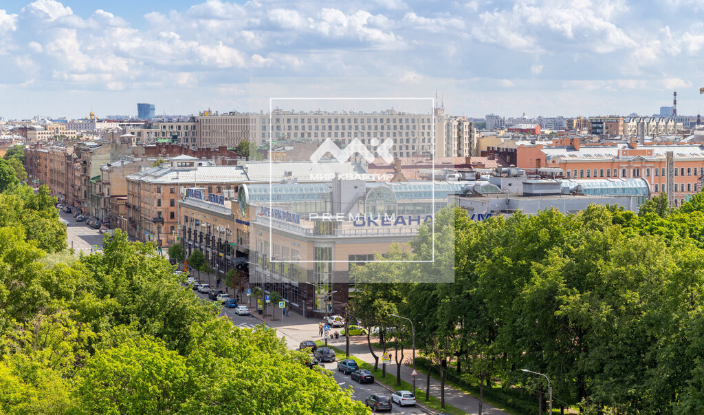 квартира г Санкт-Петербург метро Пушкинская пер Подъездной 12 фото 24