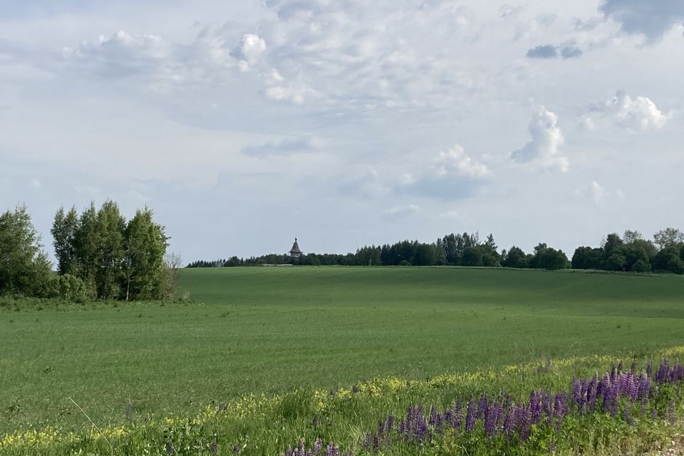 земля городской округ Лотошино деревня Харпай фото 1