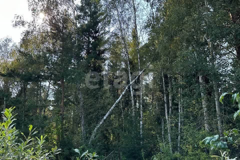 земля 10, Дмитровский городской округ, СТ Строитель-3 фото 3