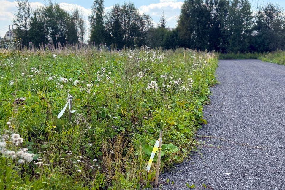 земля городской округ Дмитровский фото 6