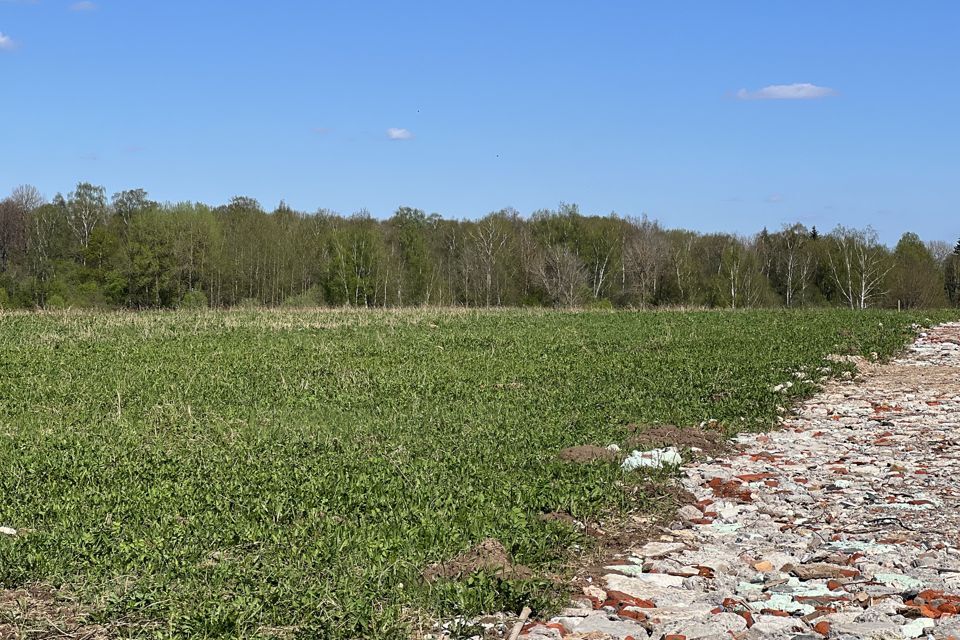 земля городской округ Истра Бужарово фото 6