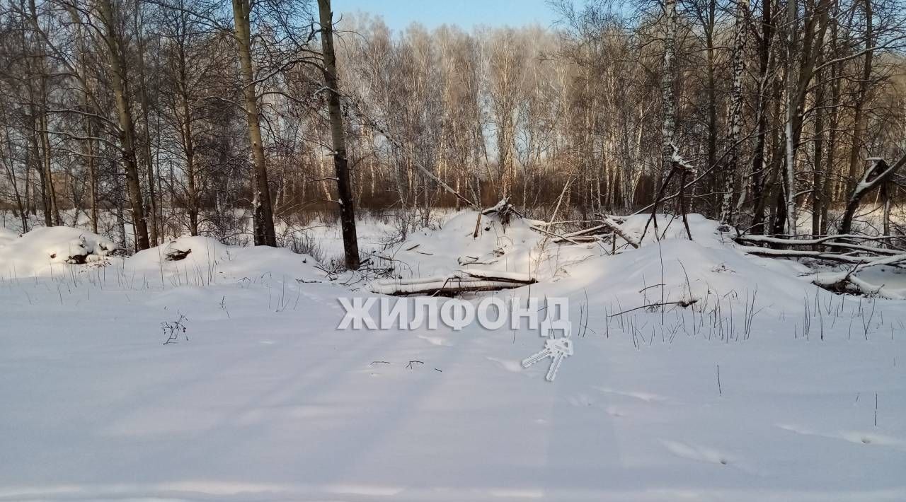 земля р-н Новосибирский снт Облепиха Станционный сельсовет, ТСН фото 11