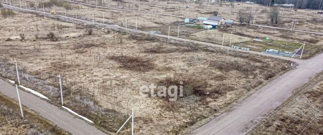 снт тер.Новое Заостровье Гостилицкое с/пос, аллея Центральная фото