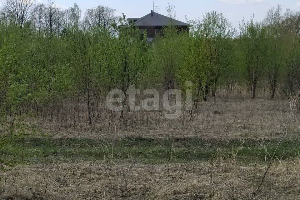 земля р-н Хабаровский село Осиновая Речка фото 3