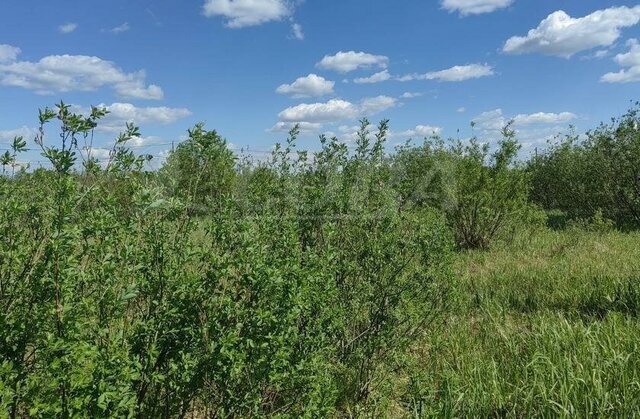 товарищество собственников недвижимости Большое Царёво-1 фото