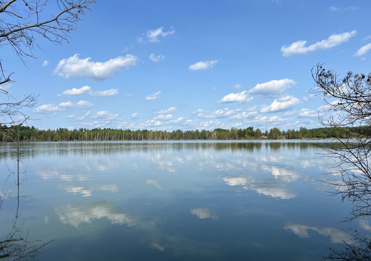 земля городской округ Орехово-Зуевский д Нажицы 9788 км, Демихово, Носовихинское шоссе фото 6