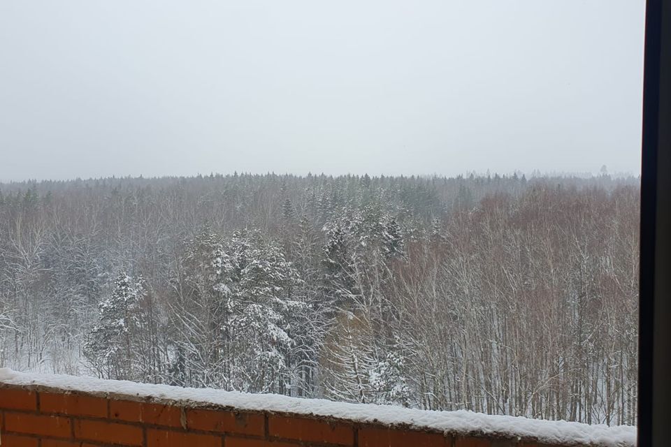 квартира городской округ Одинцовский г Звенигород ш Нахабинское 1/1 фото 3