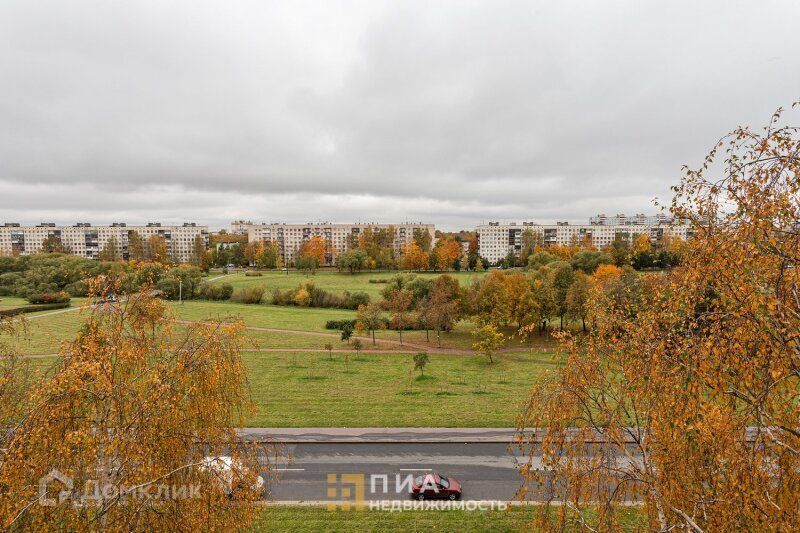 квартира г Санкт-Петербург ул Добровольцев 46 Красносельский фото 10