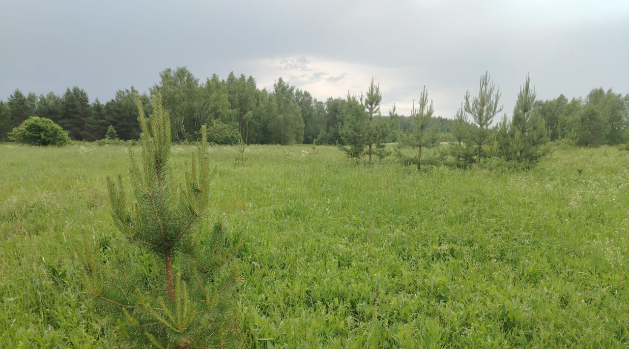 земля р-н Богородский г Богородск фото 5