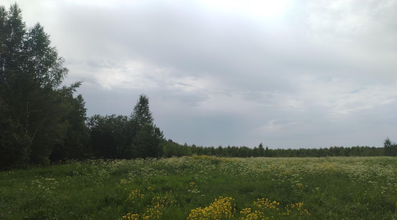 земля р-н Богородский г Богородск фото 39