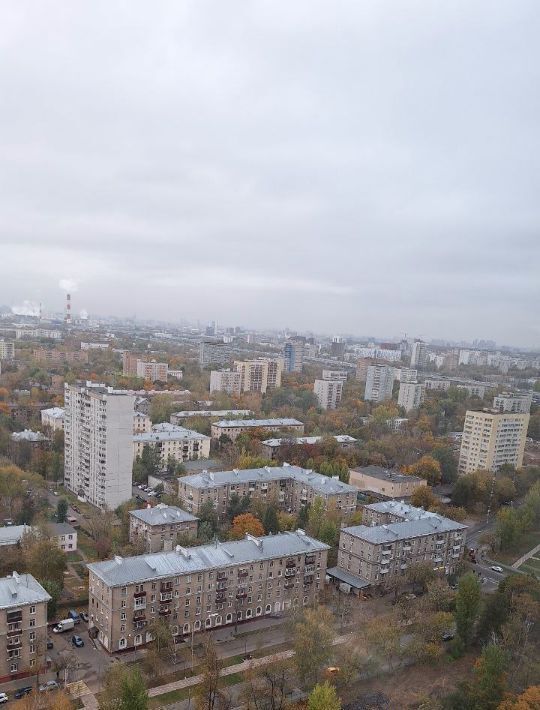 квартира г Москва метро Окская ул Михайлова 30ак/2 фото 20