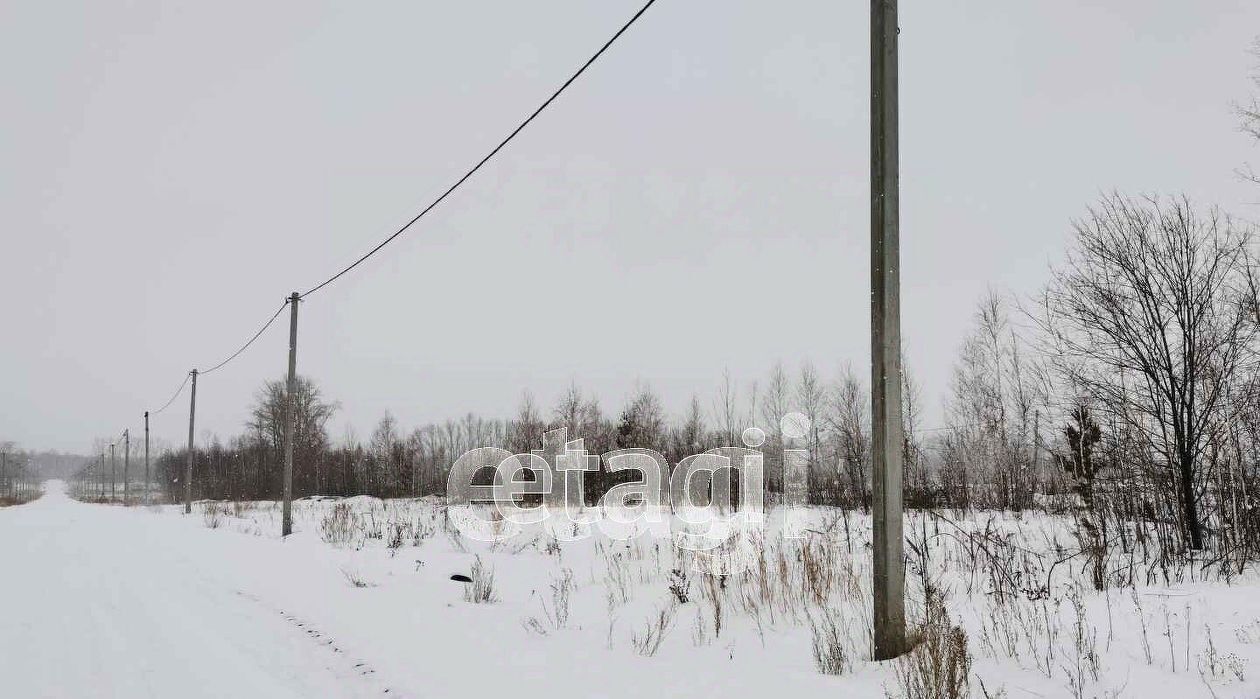 земля р-н Ишимский д Орловка ул Центральная фото 3