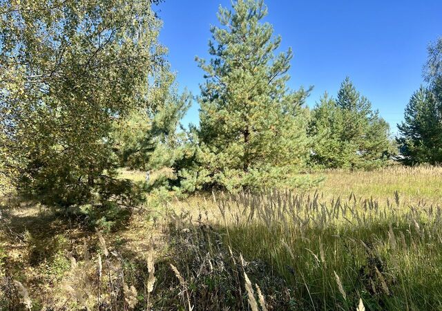 д Трухачево муниципальное образование Лавровское, Владимир фото